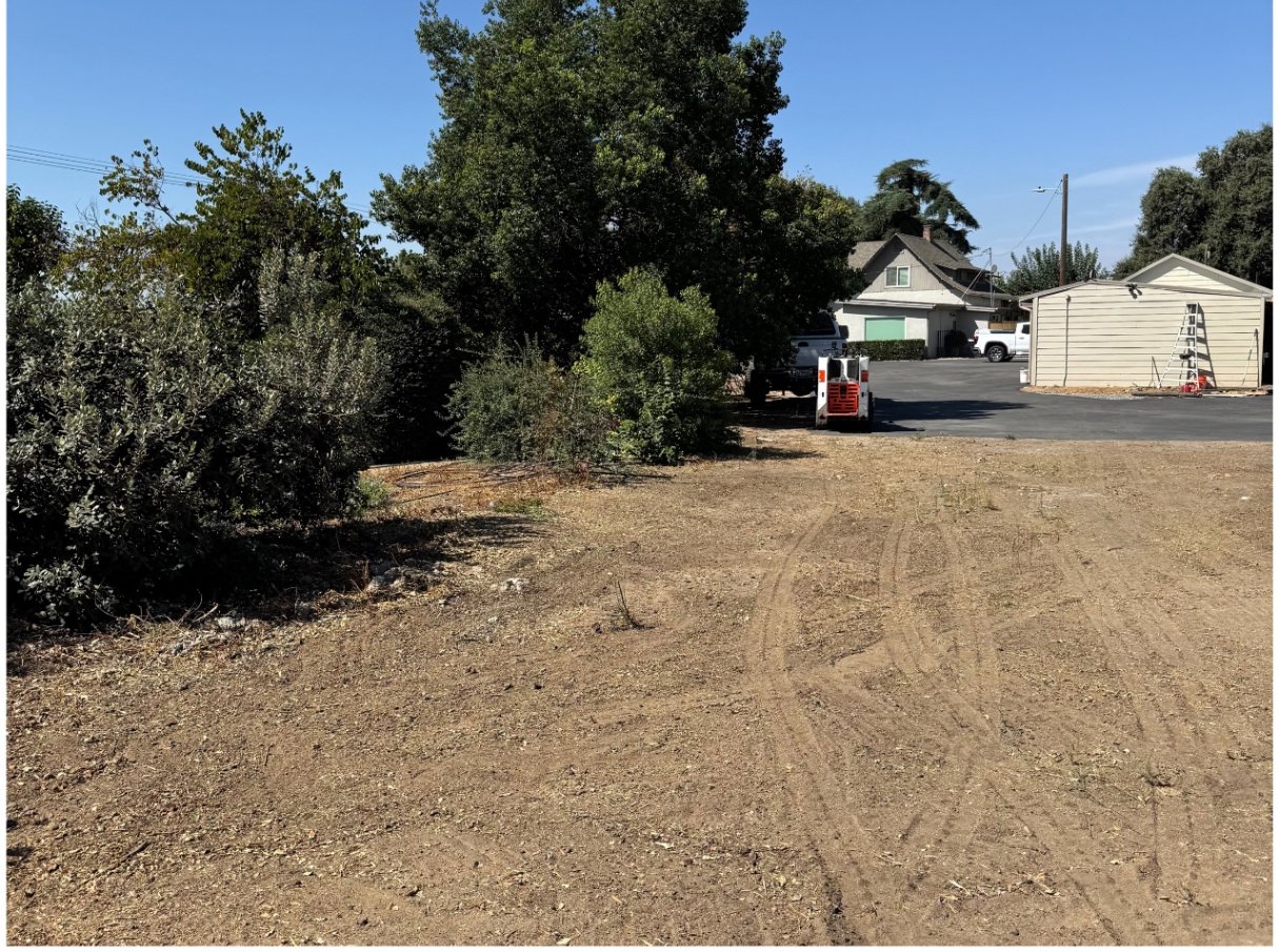 Brush clearing & hauling — after
